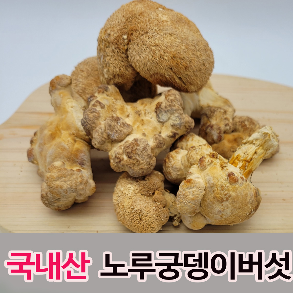 노루궁뎅이버섯-국내산